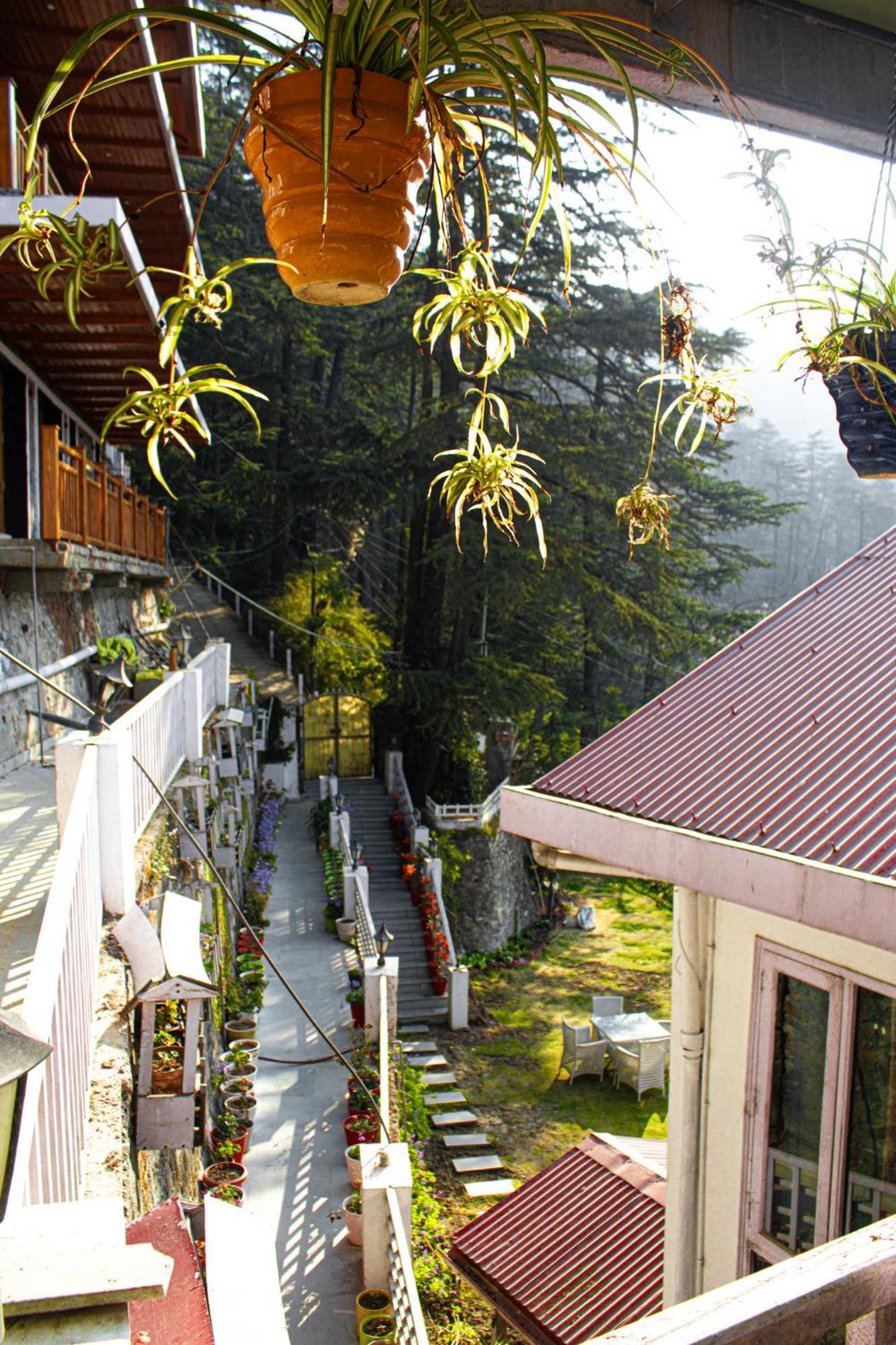 Whispering Pines Villa Shimla Exteriör bild