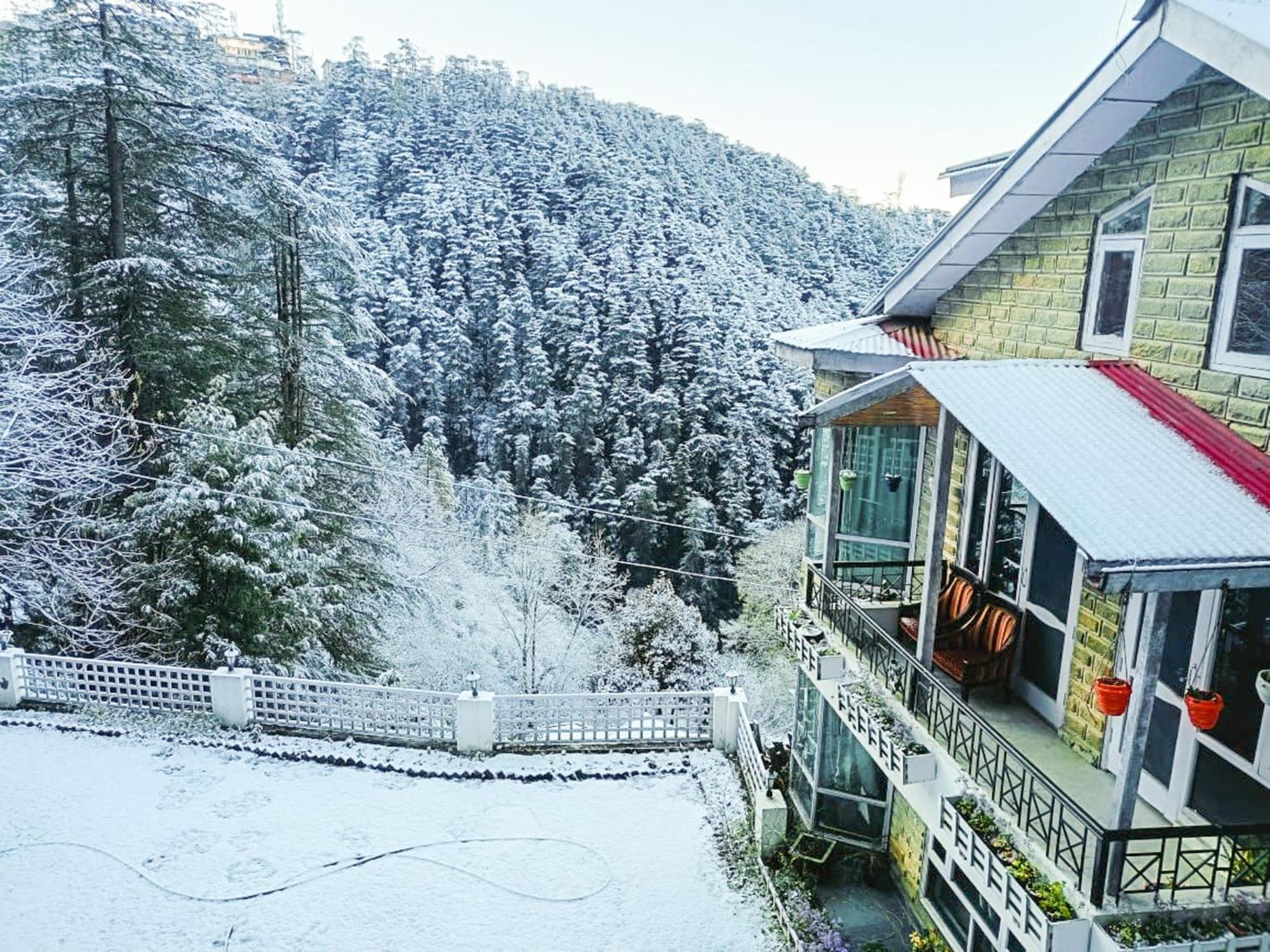 Whispering Pines Villa Shimla Exteriör bild