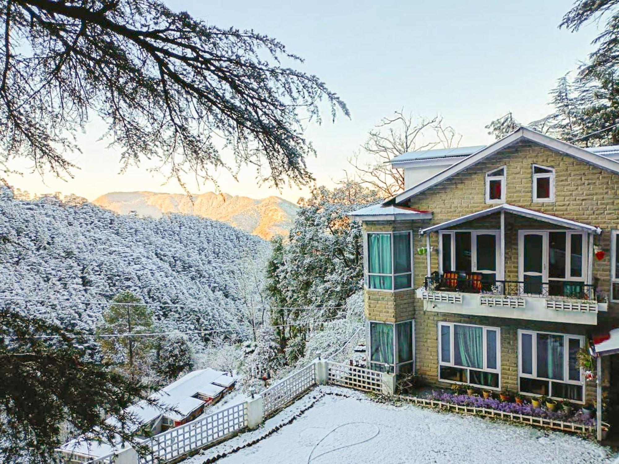 Whispering Pines Villa Shimla Exteriör bild